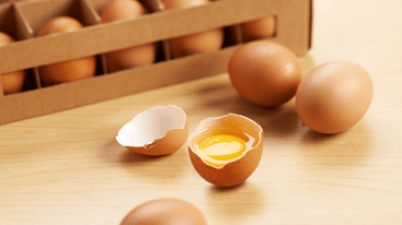 Tips Menyimpan & Mengolah Telur